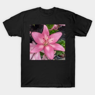 Big Pink Flower Photographic Image T-Shirt